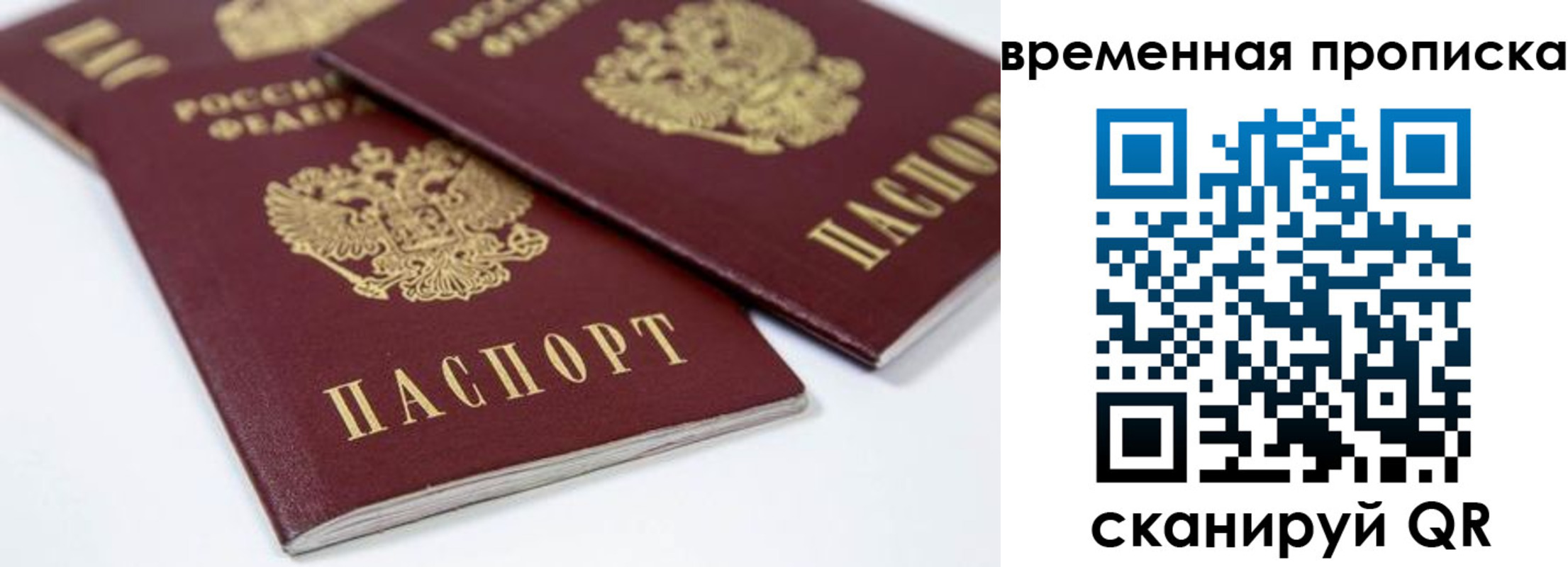 прописка для школы в Знаменске